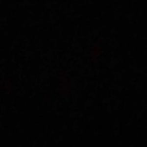 Meet your Posher, Blake